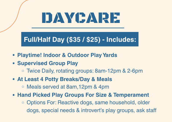 Birthday Celebration for Daycare supporting image two