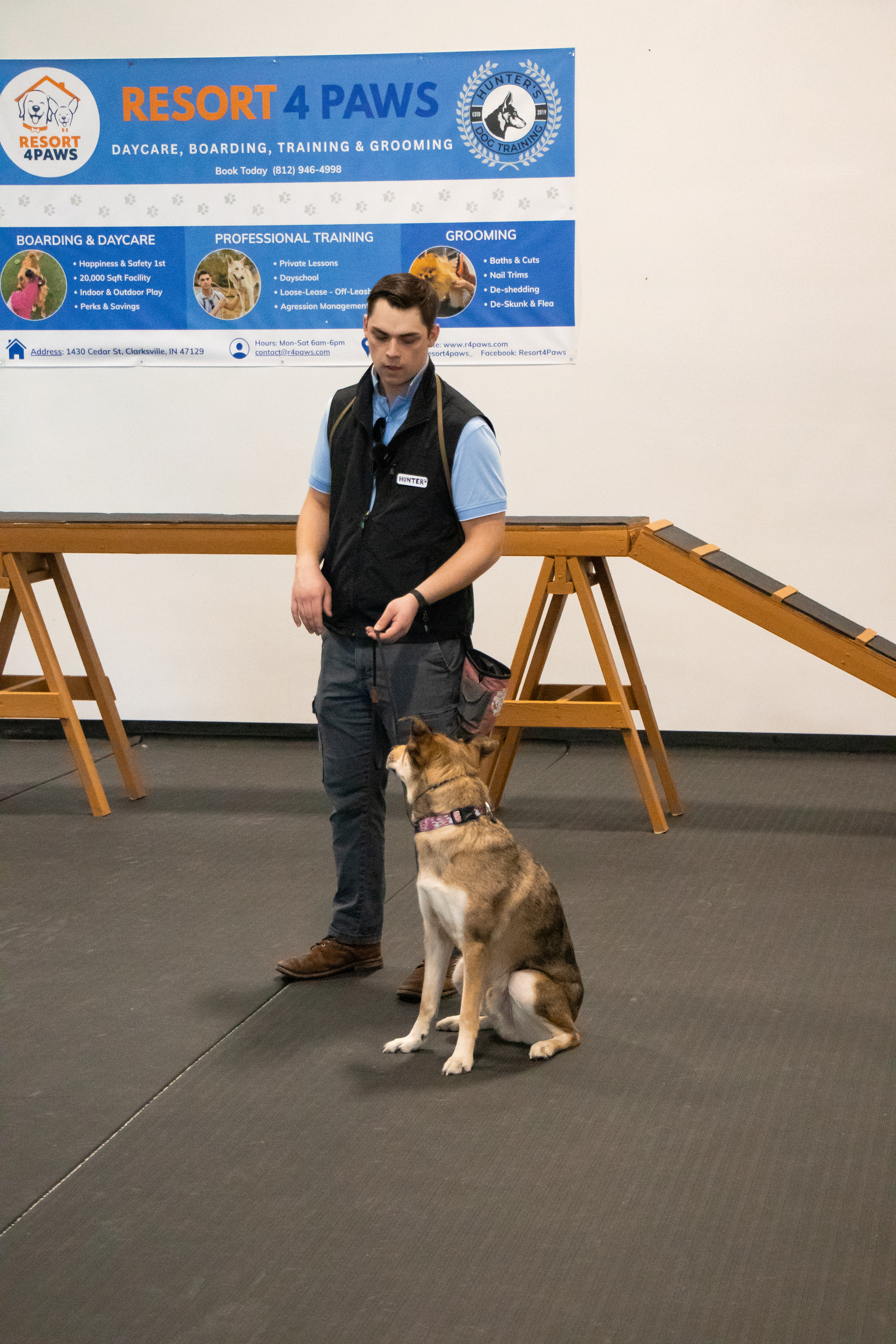 dog day care