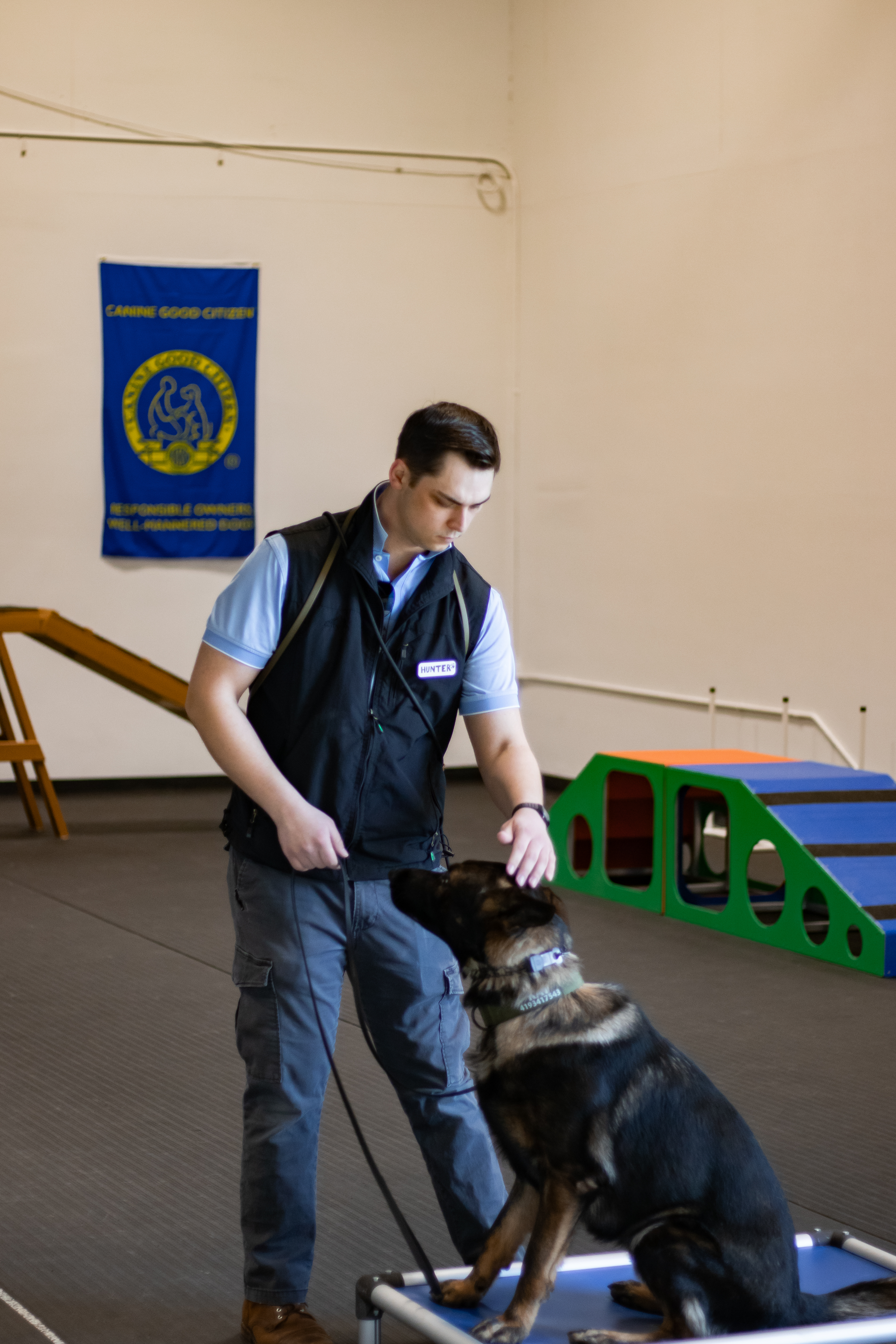 dog with trainers