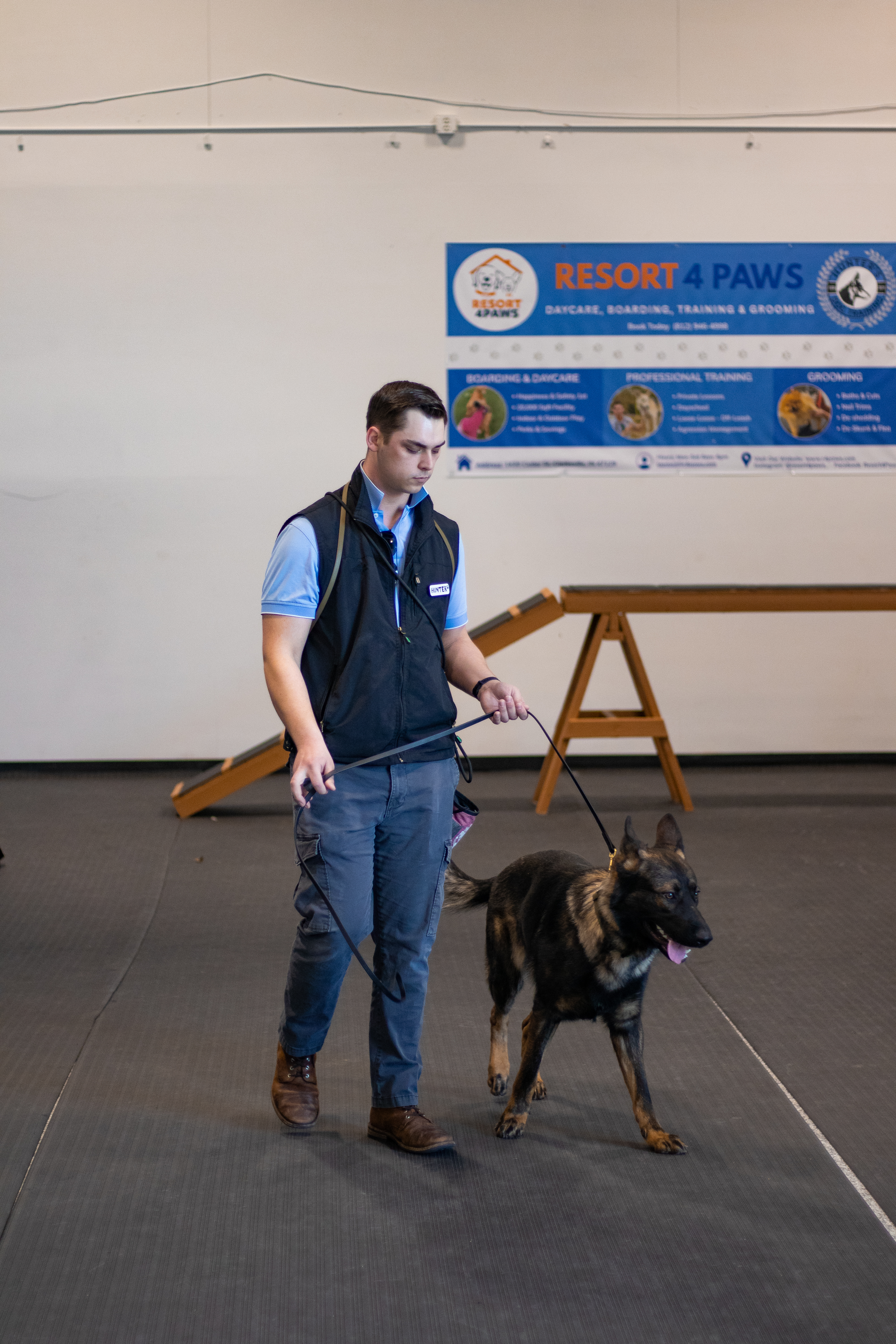 Dog Training at resort 4 paws