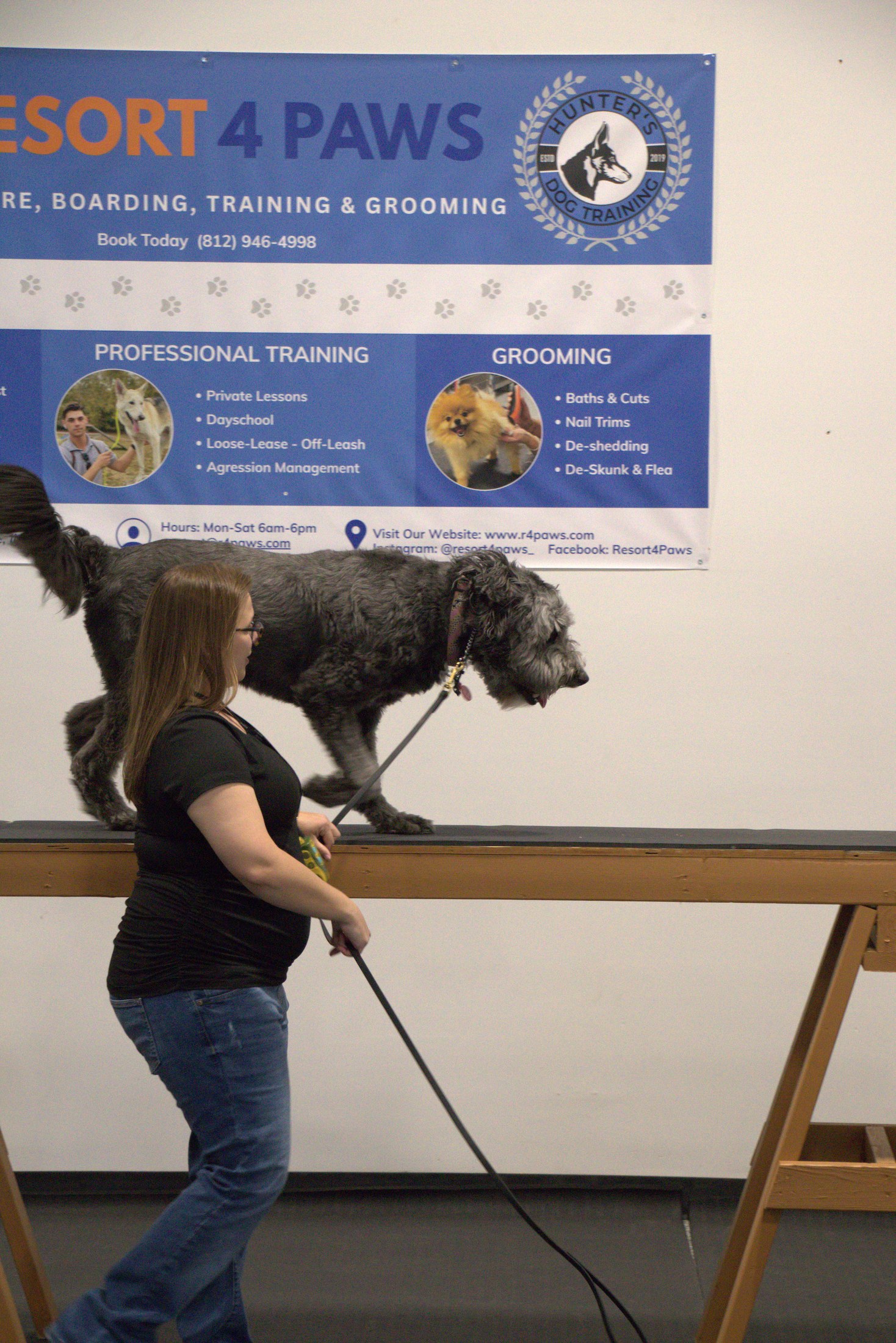 dog day care