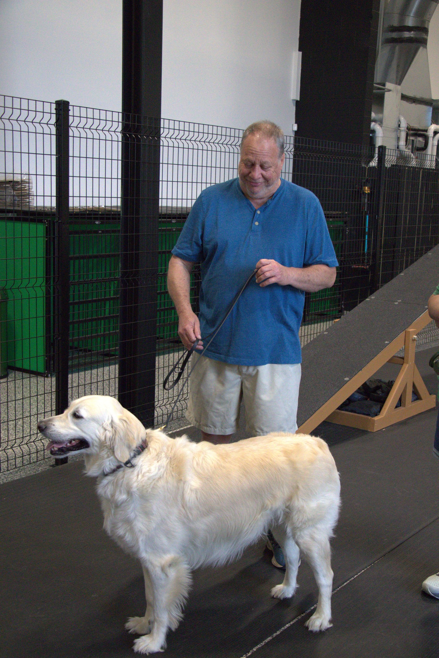 Dog Training at resort 4 paws