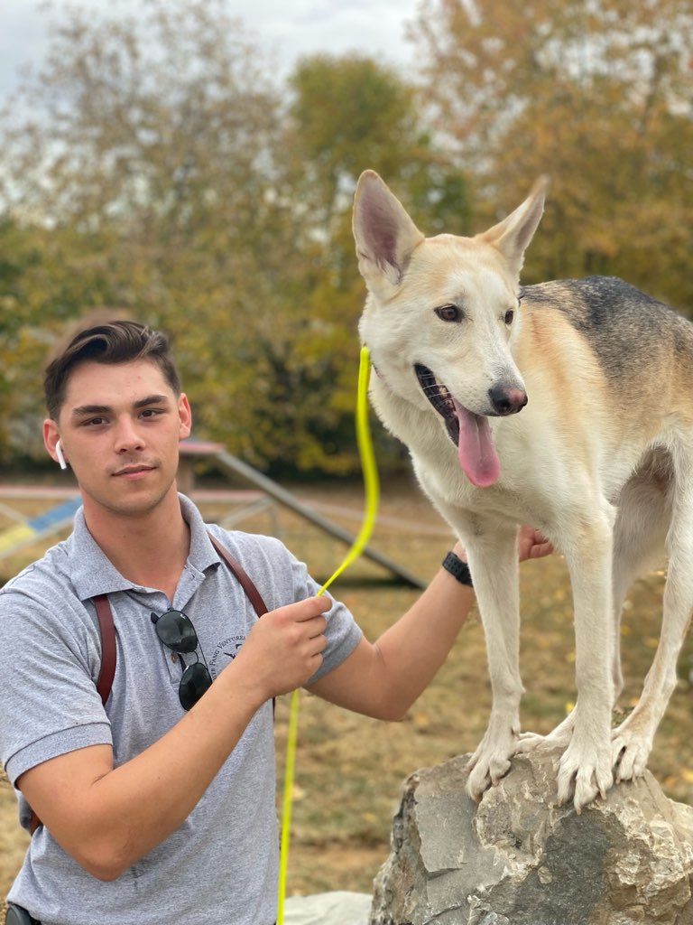 puppy training